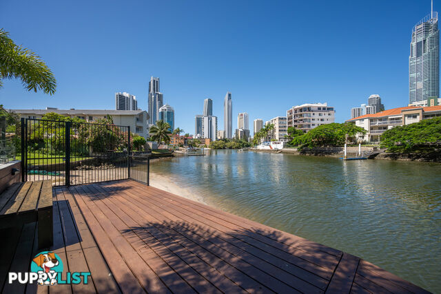 1401/21 Peninsular Drive SURFERS PARADISE QLD 4217