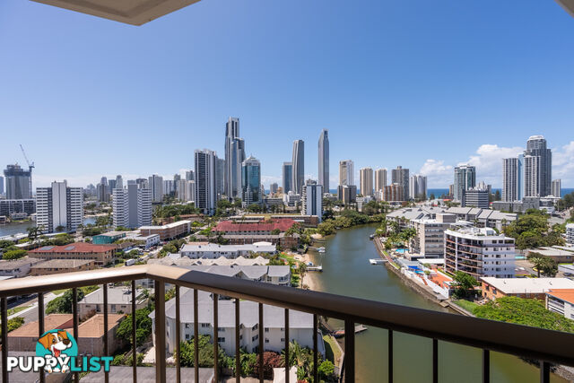 1401/21 Peninsular Drive SURFERS PARADISE QLD 4217