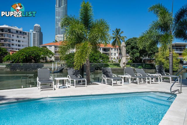 1401/21 Peninsular Drive SURFERS PARADISE QLD 4217