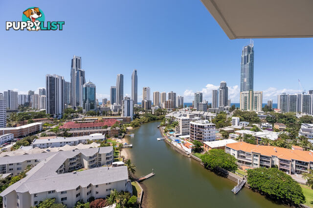 1401/21 Peninsular Drive SURFERS PARADISE QLD 4217