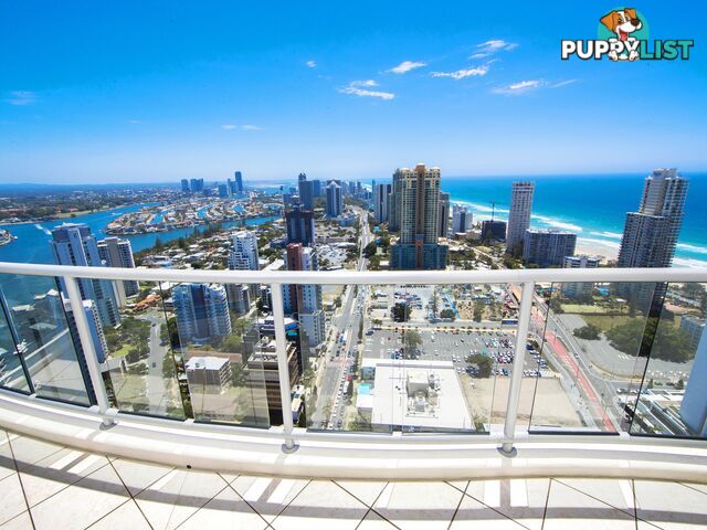 23 Ferny Avenue SURFERS PARADISE QLD 4217