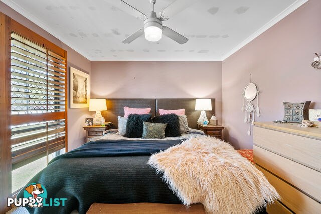 3 Warrawee Avenue ASHMORE QLD 4214