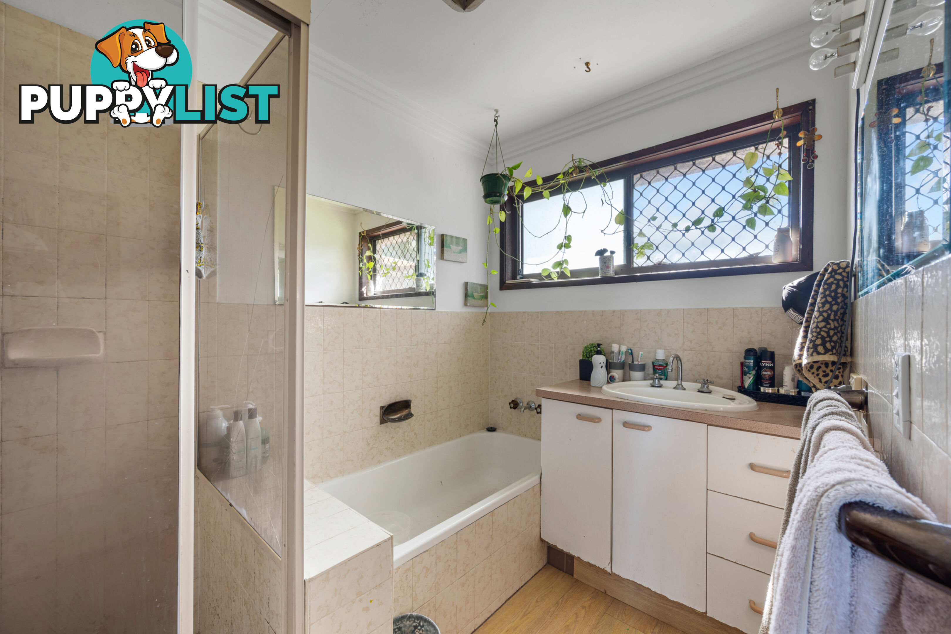3 Warrawee Avenue ASHMORE QLD 4214
