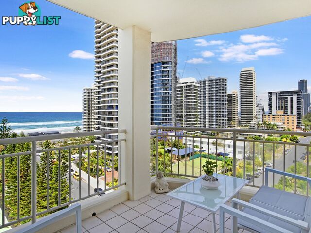 901/46-52 Pacific Street MAIN BEACH QLD 4217