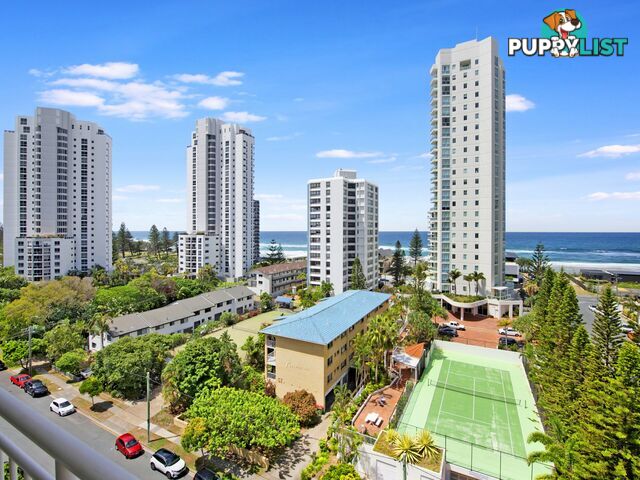 901/46-52 Pacific Street MAIN BEACH QLD 4217