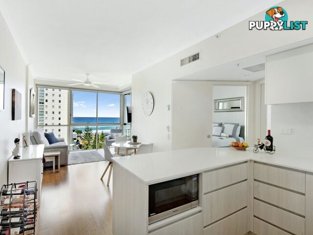 901/46-52 Pacific Street MAIN BEACH QLD 4217