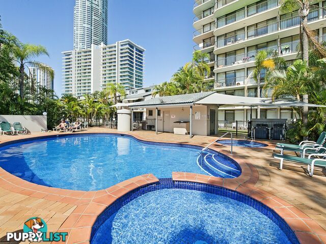 Unit 16/43 Enderley Ave SURFERS PARADISE QLD 4217