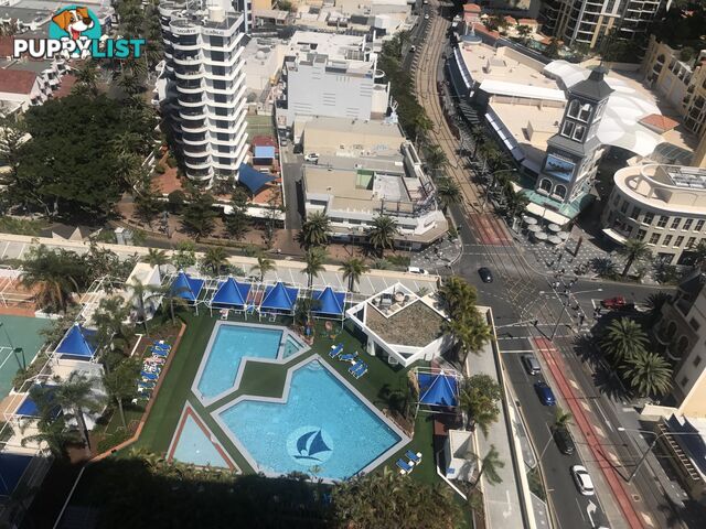 Lot 703/3197 Surfers Paradise Boulevard SURFERS PARADISE QLD 4217