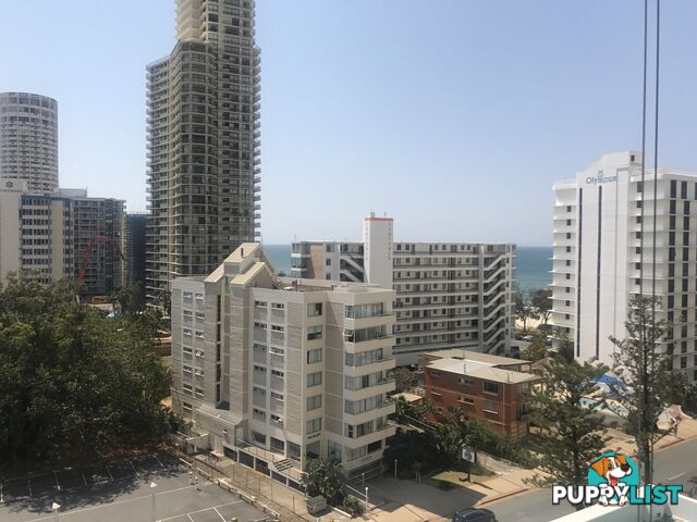 Lot 703/3197 Surfers Paradise Boulevard SURFERS PARADISE QLD 4217