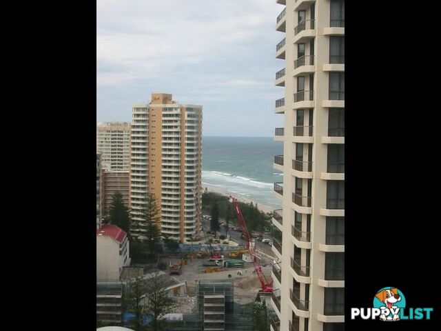 18 Hanlan Street SURFERS PARADISE QLD 4217