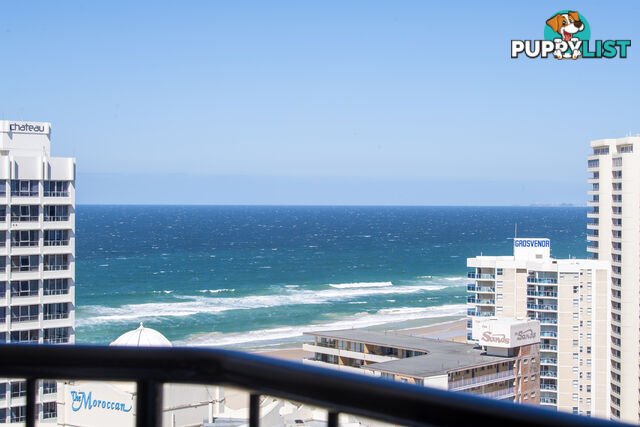 Level 17/1706/22 View Avenue SURFERS PARADISE QLD 4217