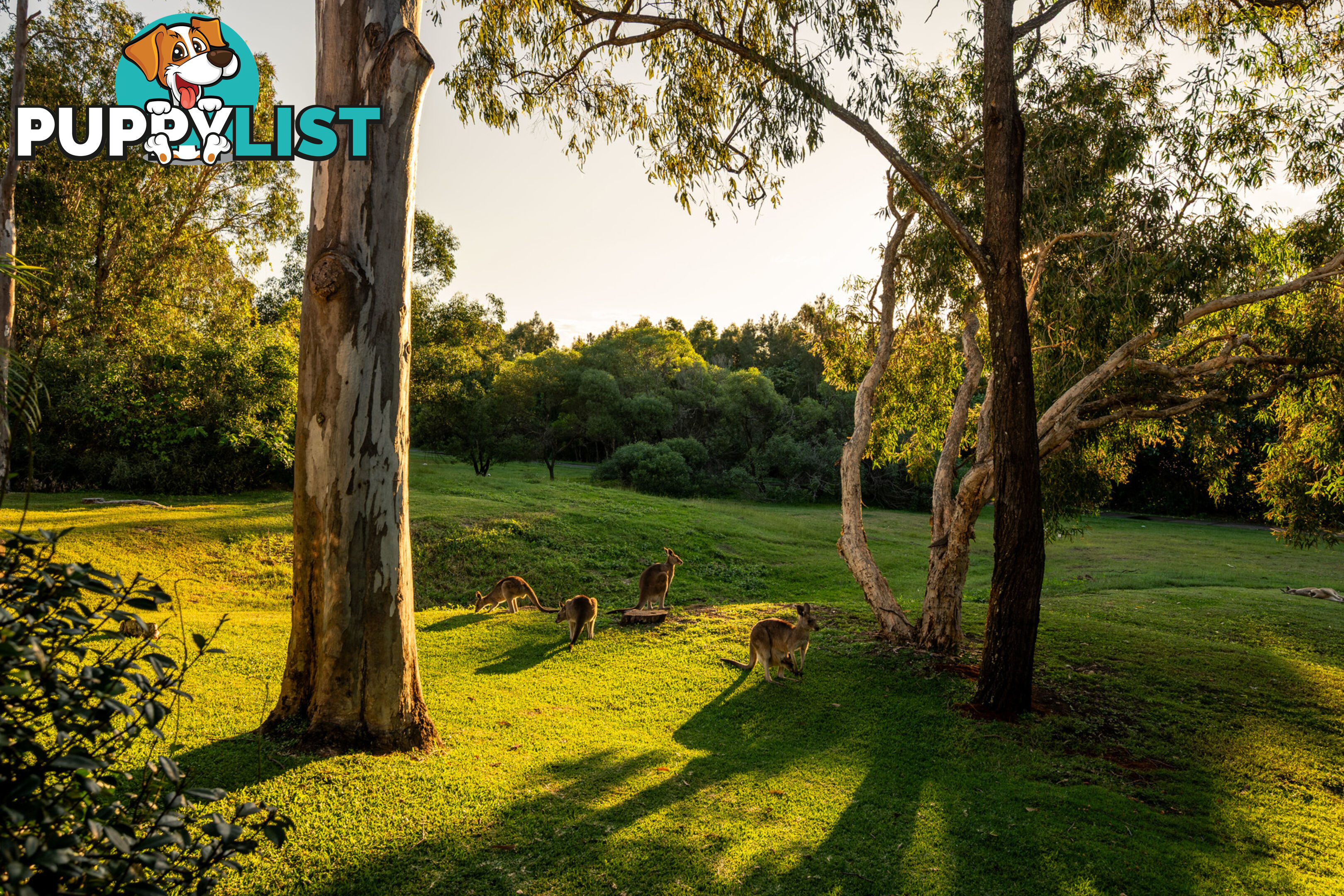 48 Christina Ryan Way ARUNDEL QLD 4214