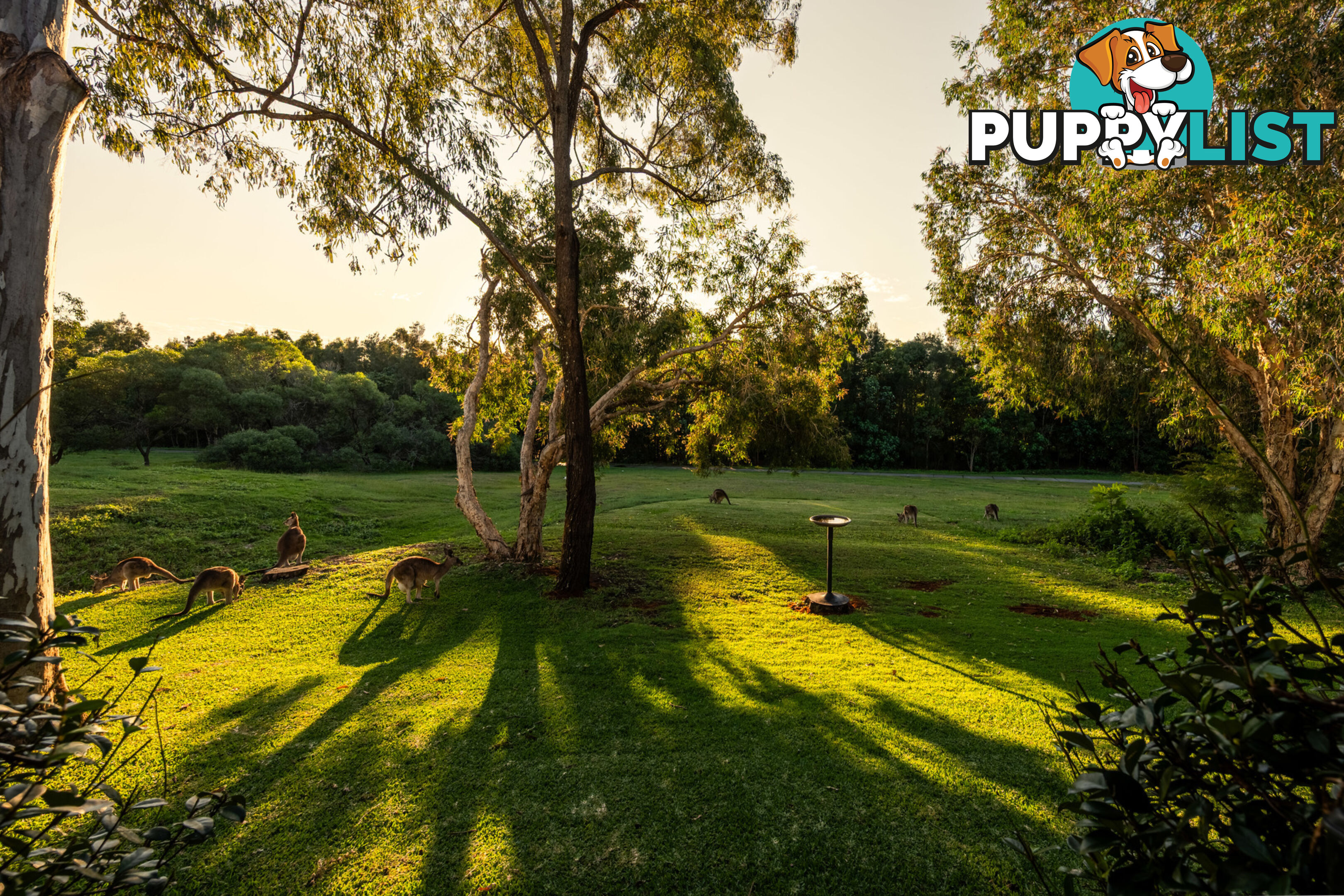 48 Christina Ryan Way ARUNDEL QLD 4214