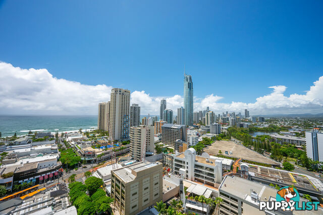 1195/9 Ferny Avenue SURFERS PARADISE QLD 4217