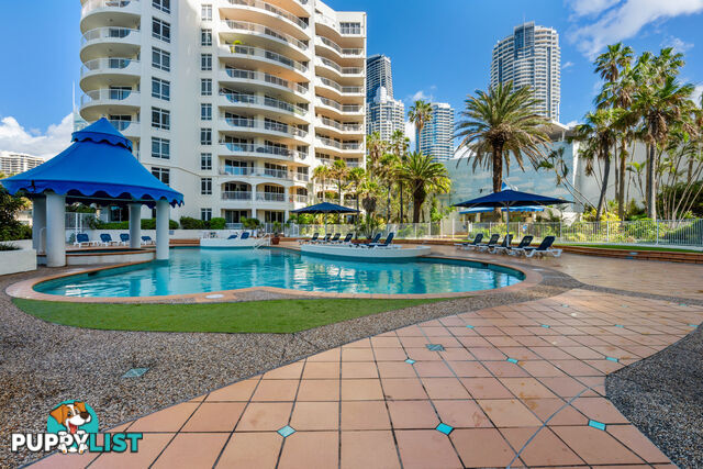 308/2-4 View Avenue SURFERS PARADISE QLD 4217