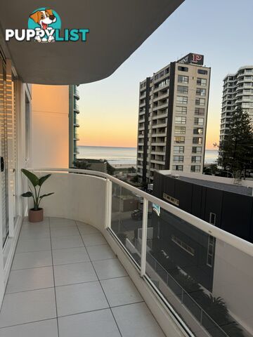 Unit 17/4 Clifford Street SURFERS PARADISE QLD 4217
