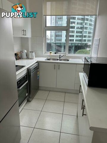 Unit 17/4 Clifford Street SURFERS PARADISE QLD 4217