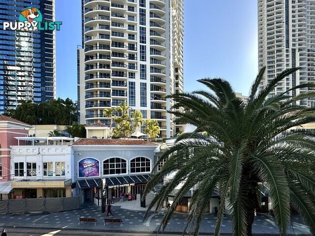 208/3155 Surfers Paradise Blvd SURFERS PARADISE QLD 4217