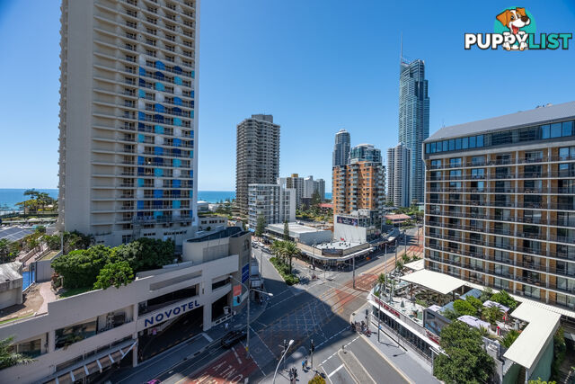 50/3142 Surfers Paradise Boulevard SURFERS PARADISE QLD 4217