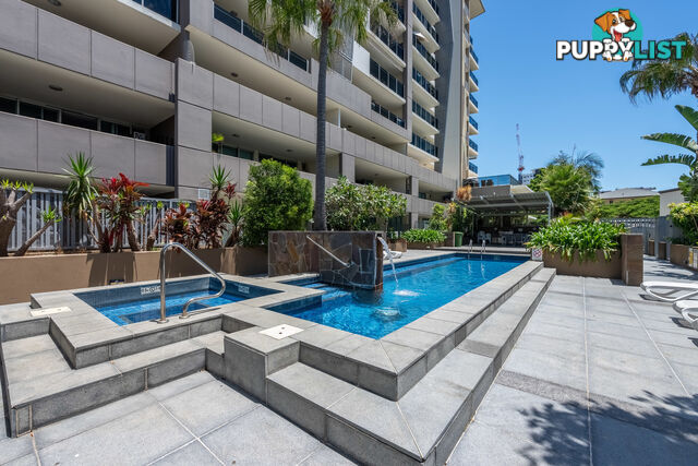 23/53 Darrambal Street SURFERS PARADISE QLD 4217