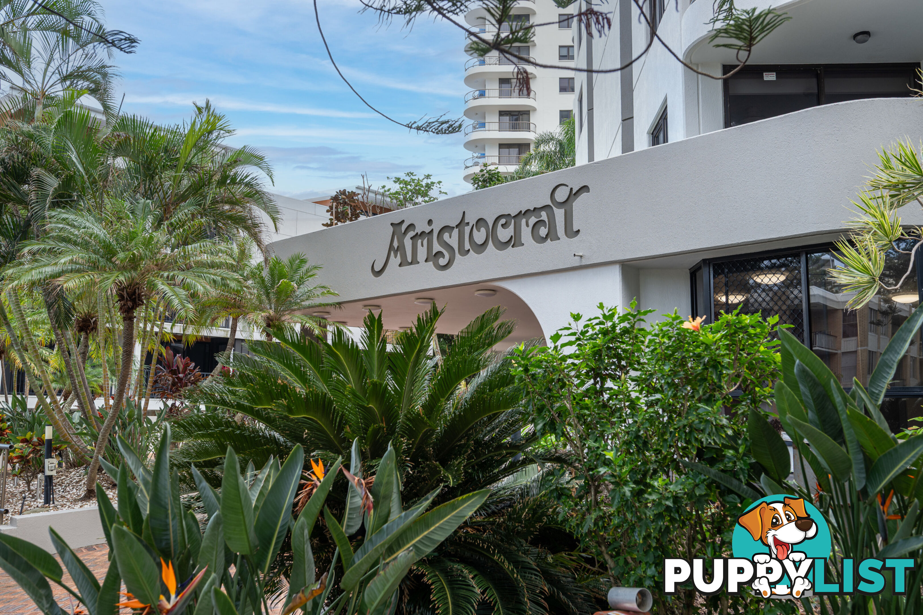 33/19 Aubrey Street SURFERS PARADISE QLD 4217