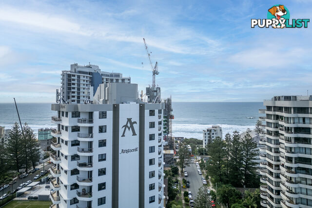 33/19 Aubrey Street SURFERS PARADISE QLD 4217