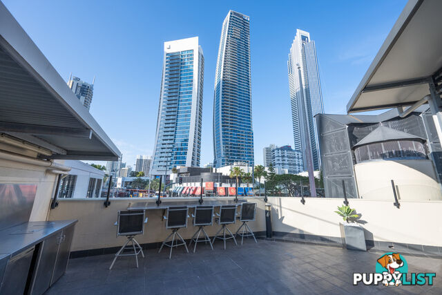 851/3142 Surfers Paradise Boulevard SURFERS PARADISE QLD 4217