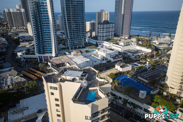 851/3142 Surfers Paradise Boulevard SURFERS PARADISE QLD 4217