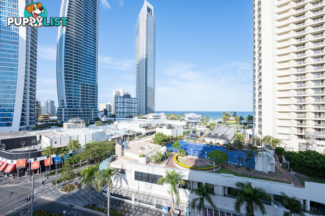 851/3142 Surfers Paradise Boulevard SURFERS PARADISE QLD 4217