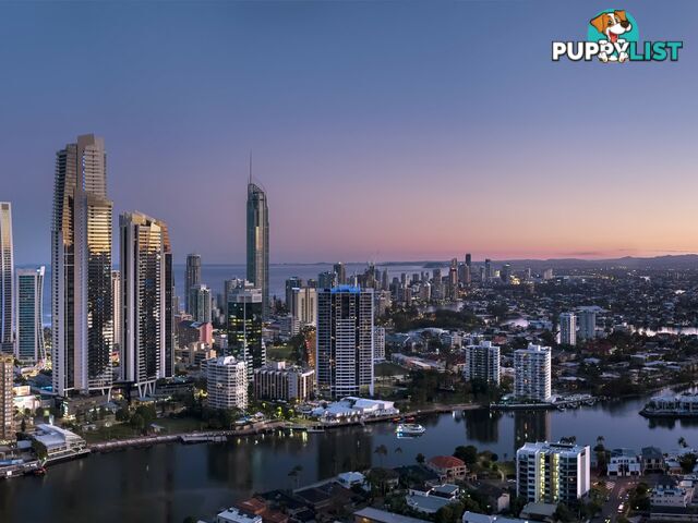 44 Stanhill Drive SURFERS PARADISE QLD 4217