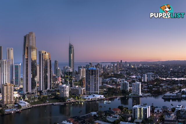 42 Stanhill Drive SURFERS PARADISE QLD 4217