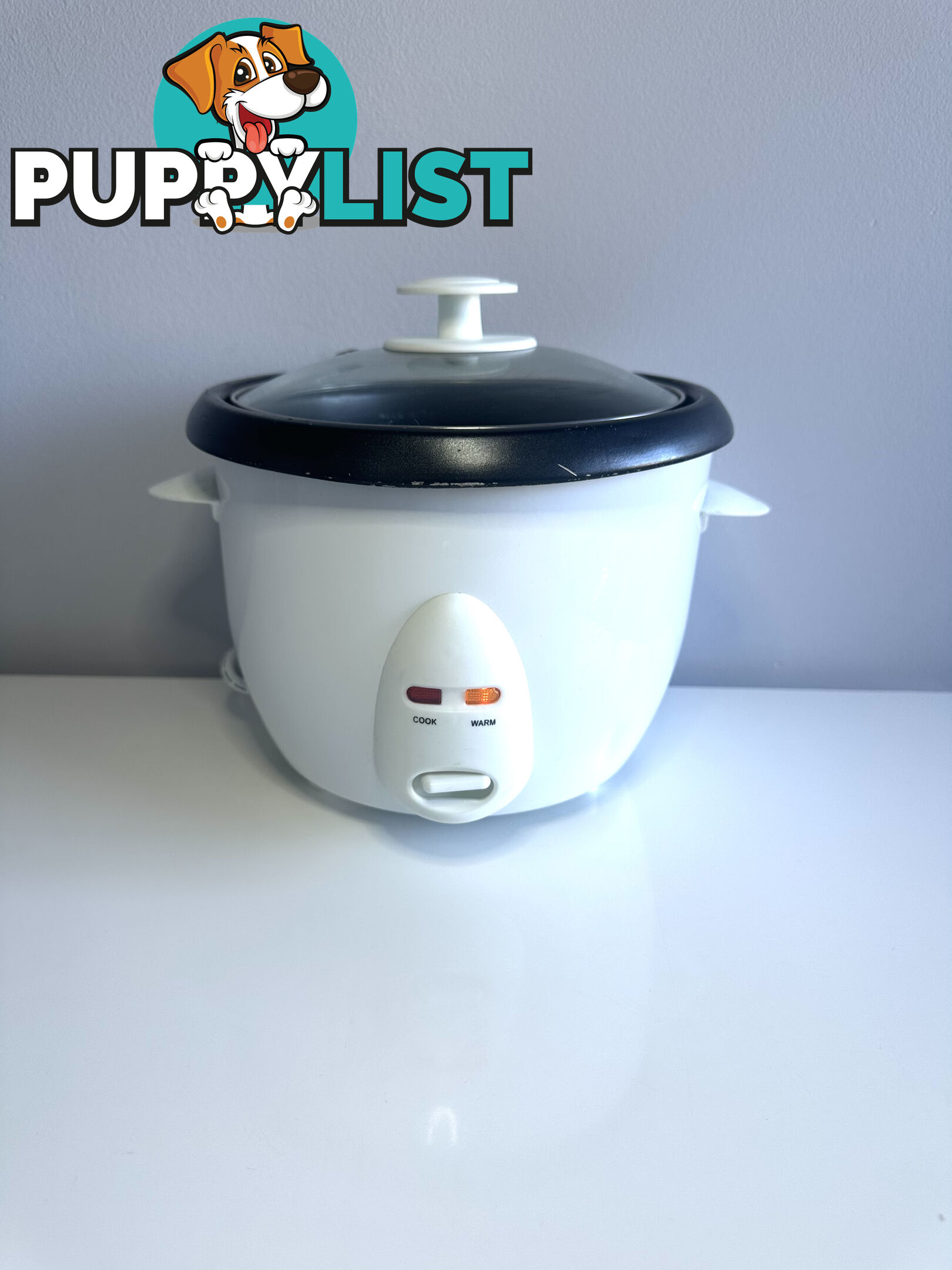 Rice Cooker Great Value Act Fast