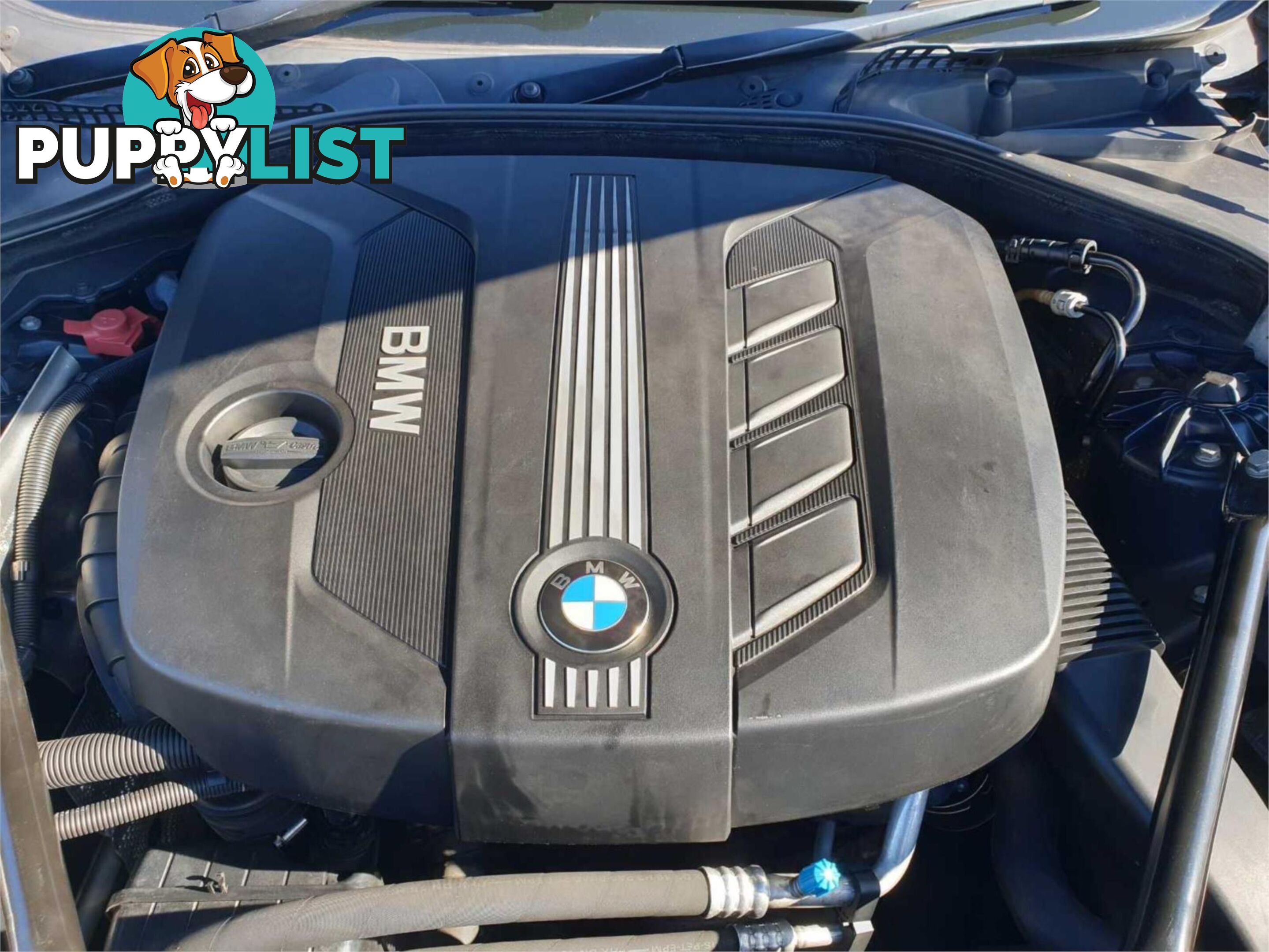 2011 BMW 5 20D F10MY11 4D SEDAN