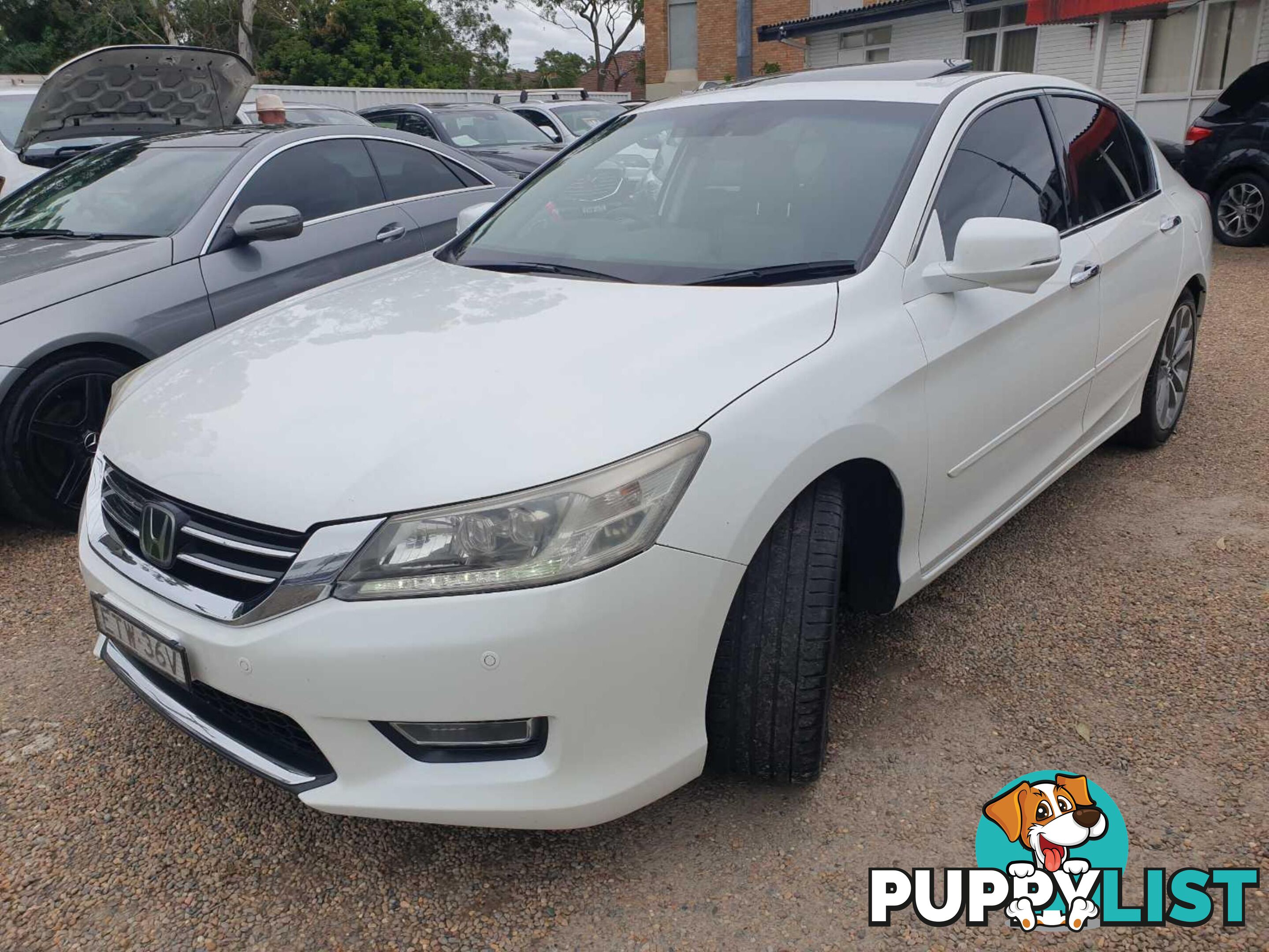 2013 HONDA ACCORD V6 L 60 4D SEDAN