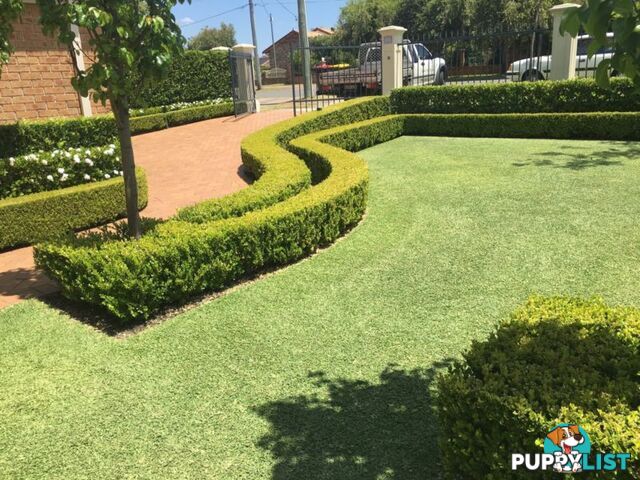 Landscaping and maintenance/ Sydney Roller Mower Centre
(Negotiable)