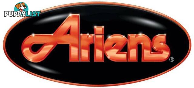 ARIENS OIL SEAL G09 - 31950