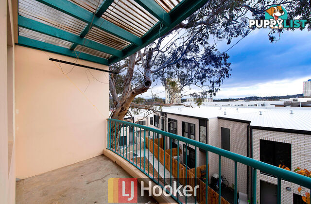 6/53 Port Jackson Street PHILLIP ACT 2606