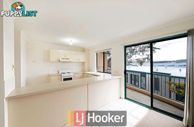 6/53 Port Jackson Street PHILLIP ACT 2606