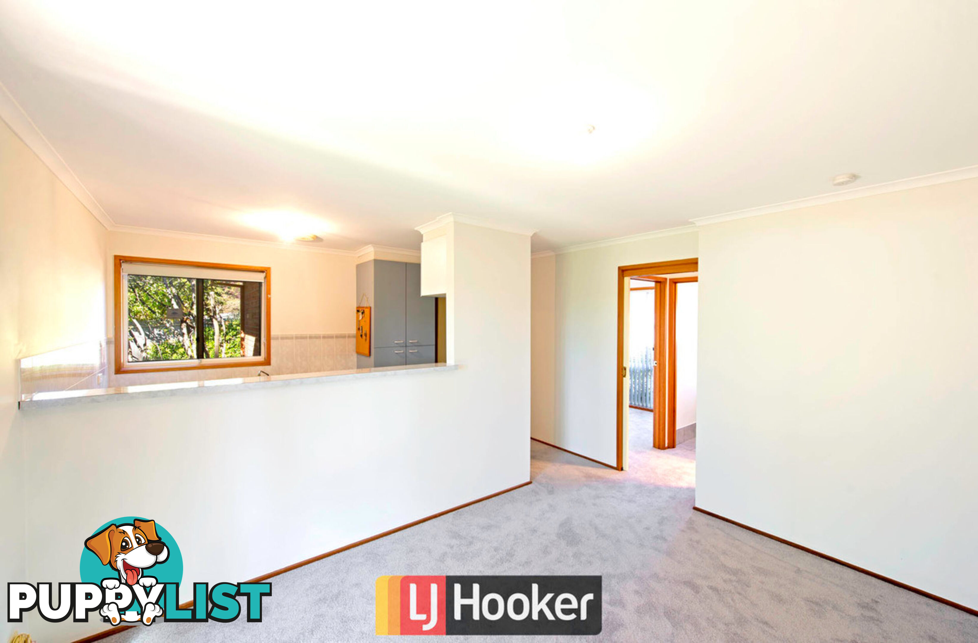 1/37 Derrington Crescent BONYTHON ACT 2905