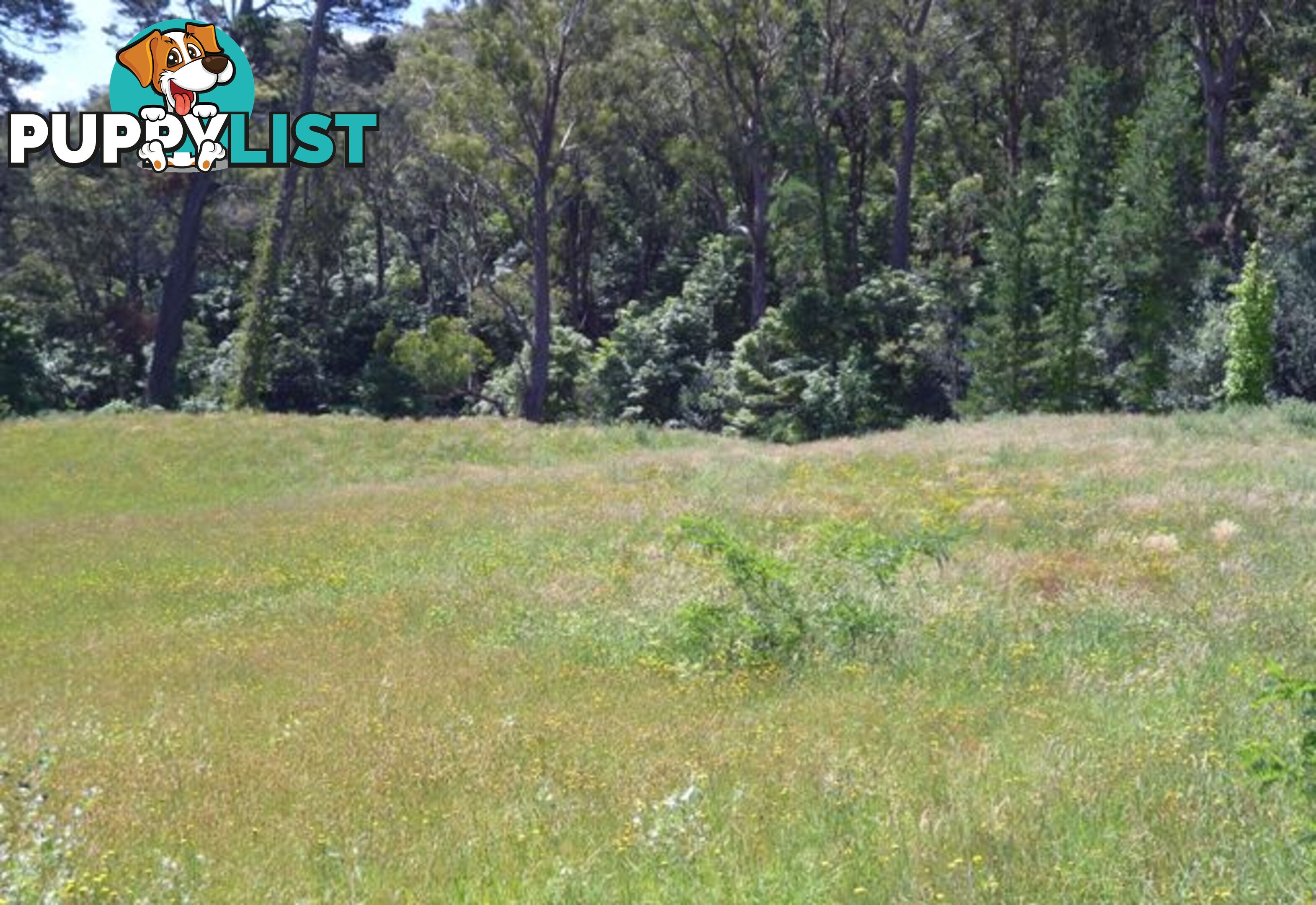 Lot 7 Queen Street BOWRAL NSW 2576