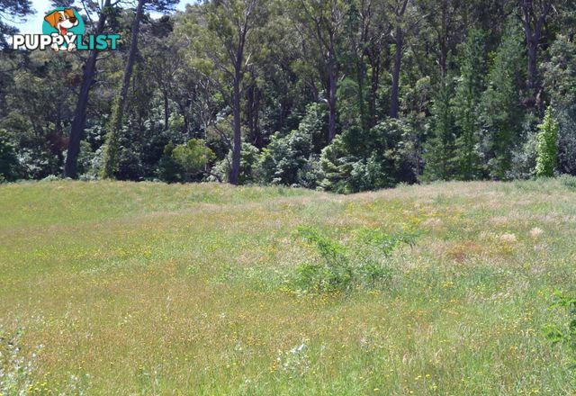 Lot 7 Queen Street BOWRAL NSW 2576