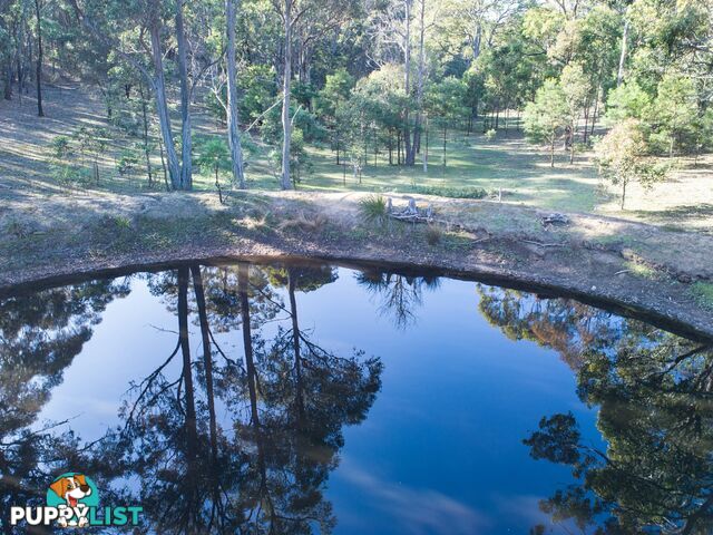 19 Old Macquarie Road BIG HILL NSW 2579