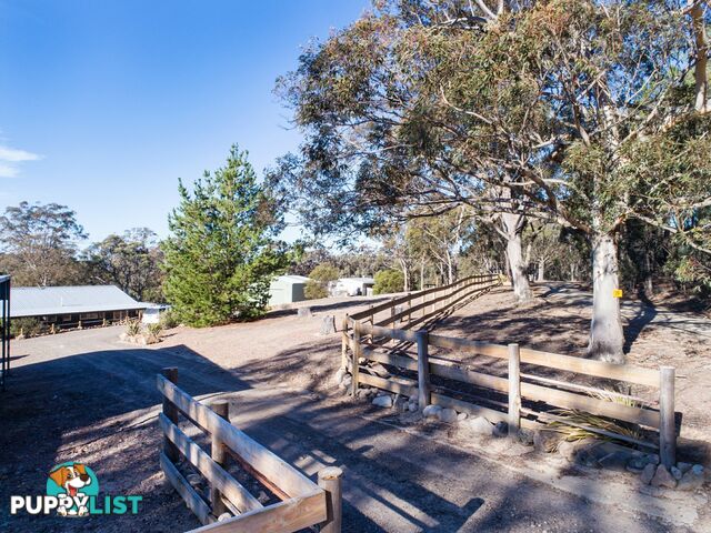 19 Old Macquarie Road BIG HILL NSW 2579