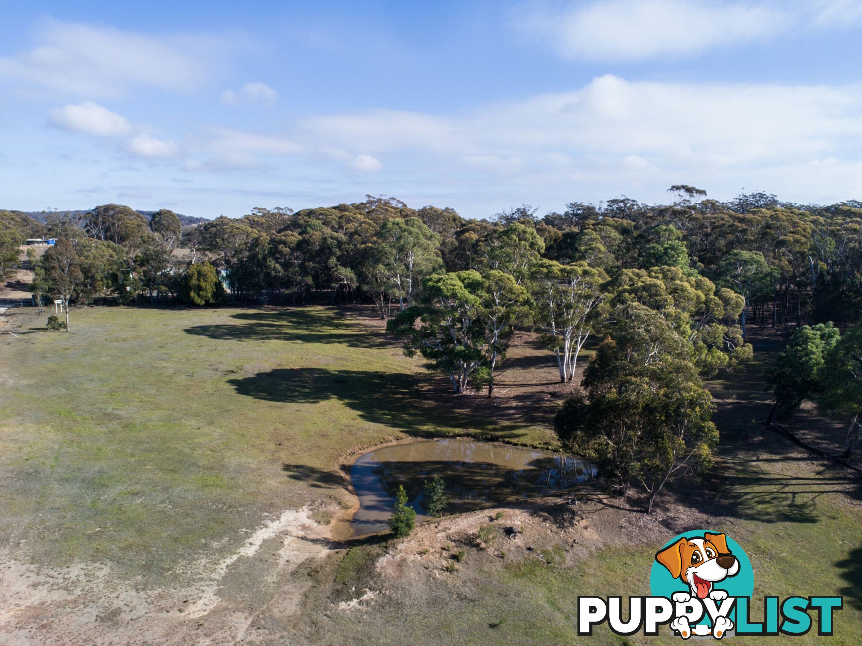 19 Old Macquarie Road BIG HILL NSW 2579