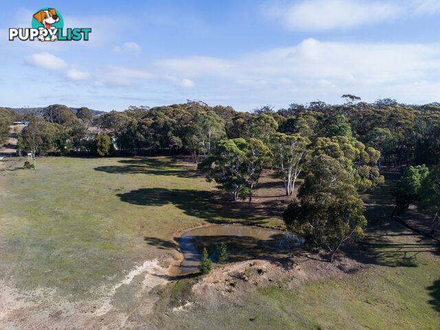 19 Old Macquarie Road BIG HILL NSW 2579