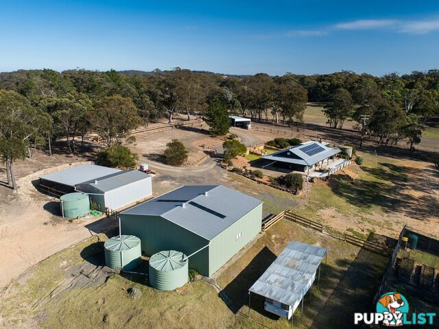 19 Old Macquarie Road BIG HILL NSW 2579