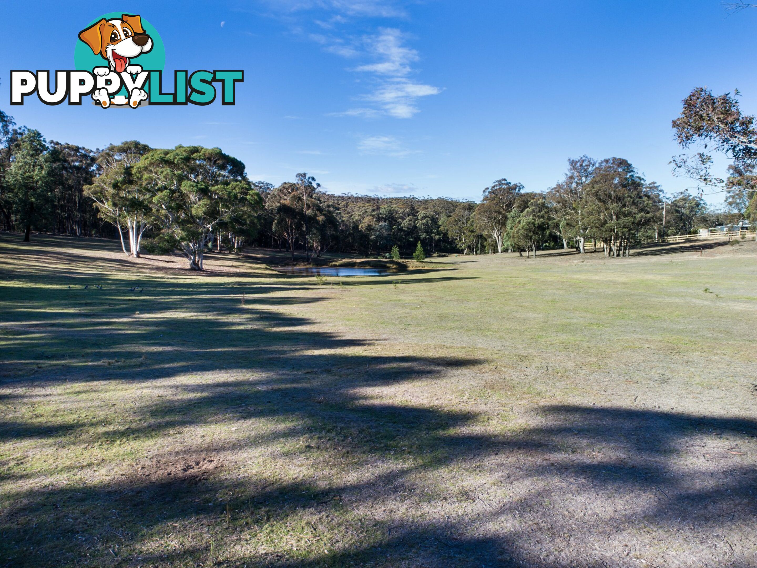 19 Old Macquarie Road BIG HILL NSW 2579