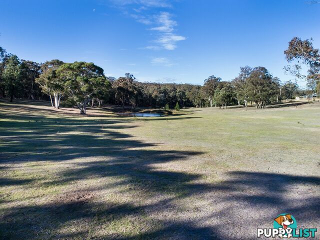 19 Old Macquarie Road BIG HILL NSW 2579