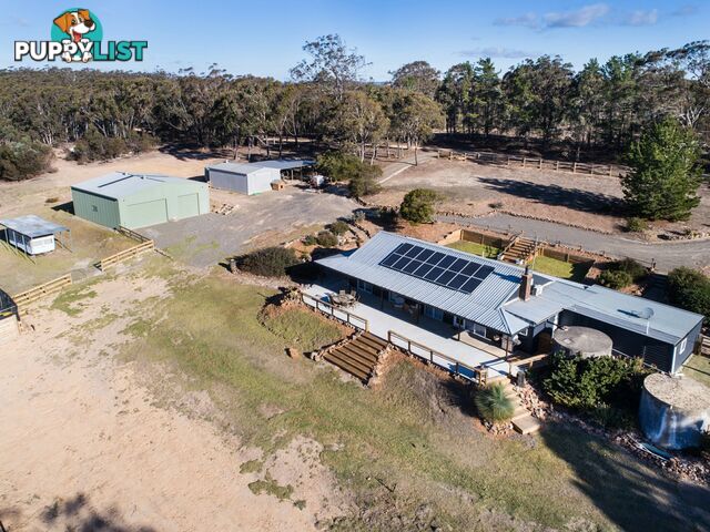 19 Old Macquarie Road BIG HILL NSW 2579