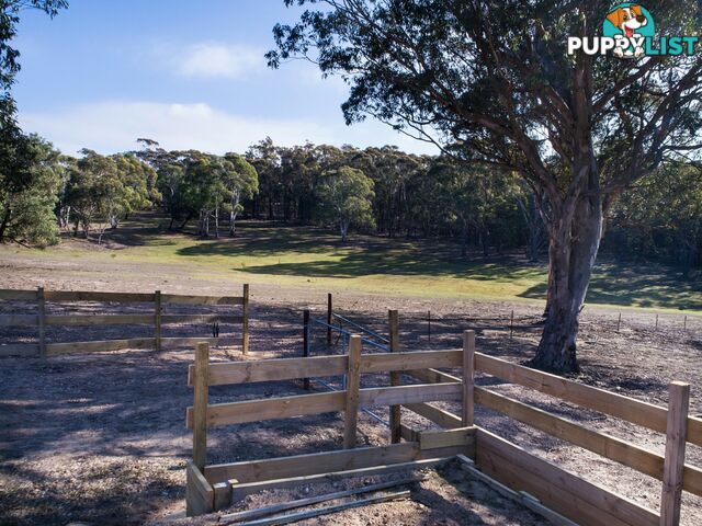 19 Old Macquarie Road BIG HILL NSW 2579